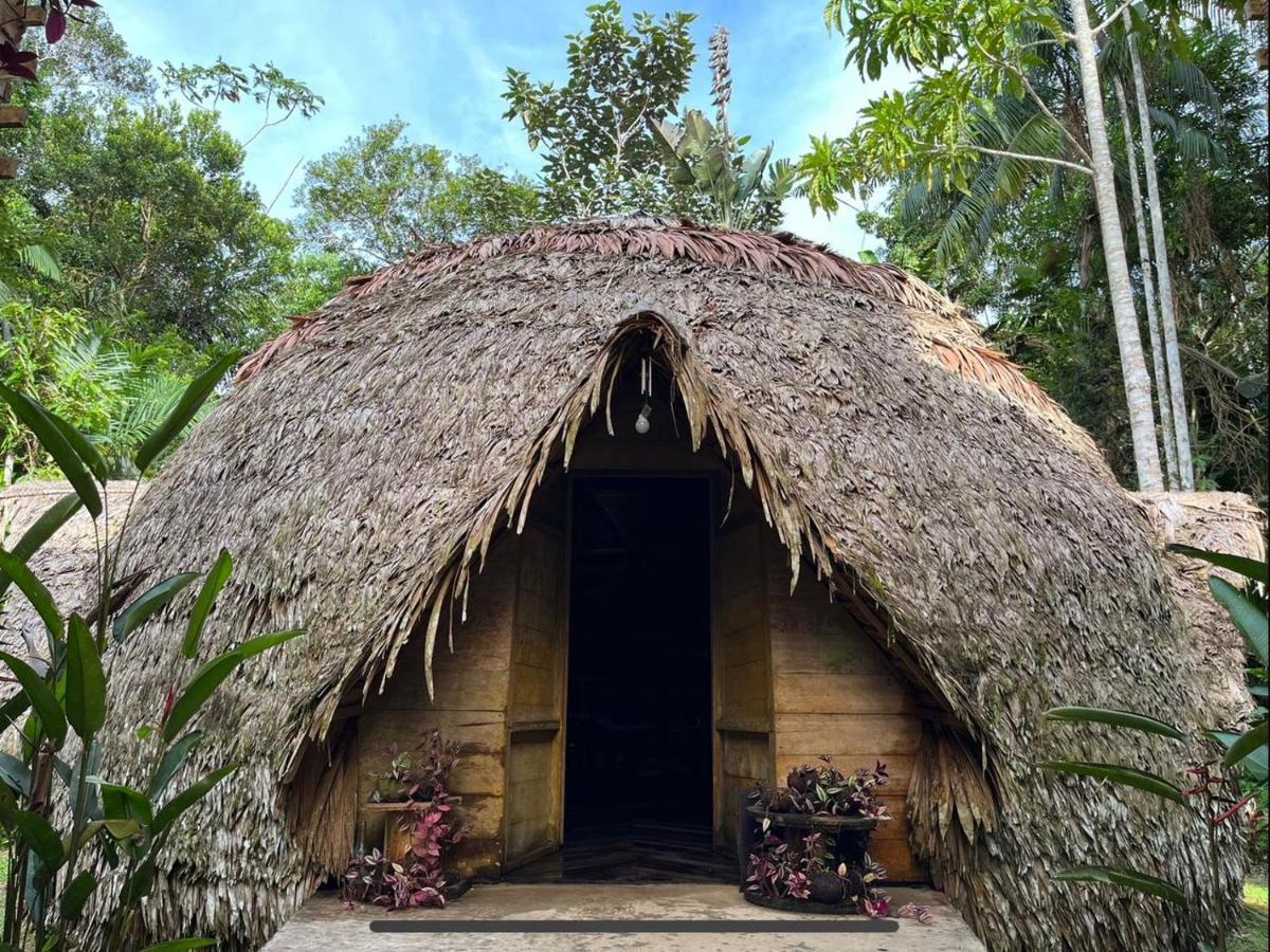 Palmayacu - Refugio Amazonico Летисия Экстерьер фото